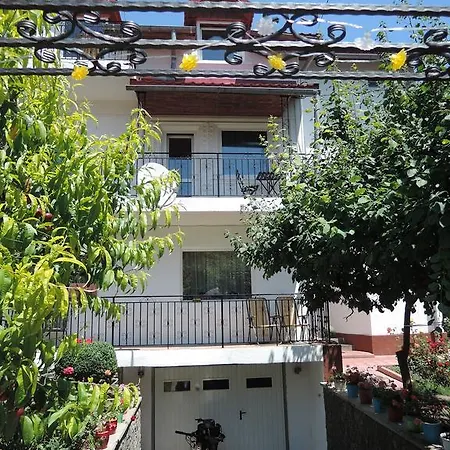 Guest house Casa La Musteata