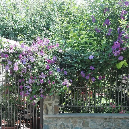 Casa La Musteata Guest house *