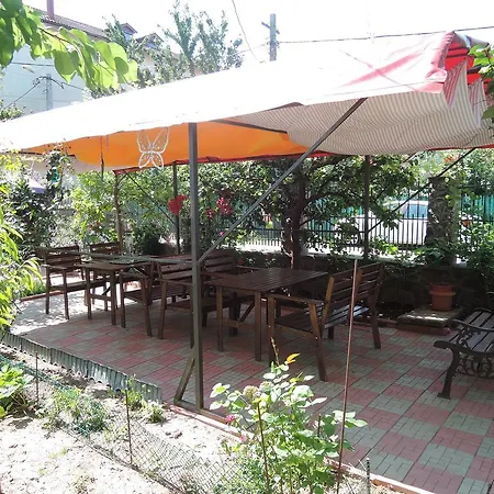 Guest house Casa La Musteata