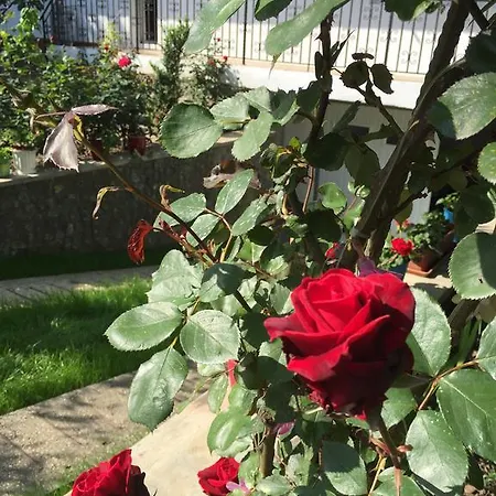 Konukevi Casa La Musteata Costinești