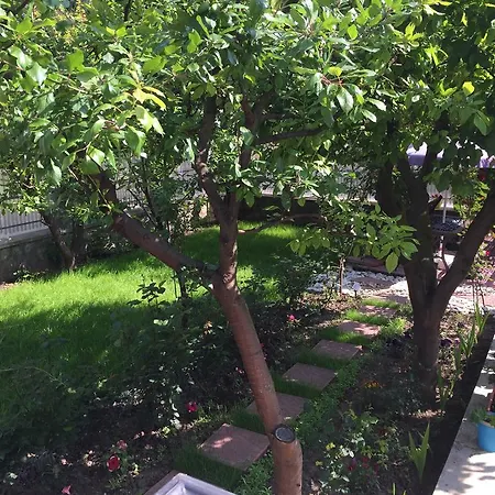 Konukevi Casa La Musteata Costinești