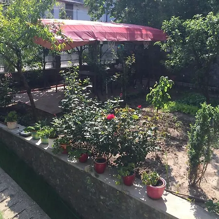 Konukevi Casa La Musteata