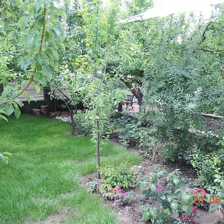 Konukevi Casa La Musteata Costinești