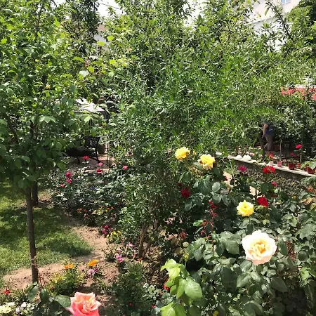 Guest house Casa La Musteata *