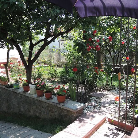 Guest house Casa La Musteata