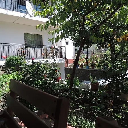 Guest house Casa La Musteata