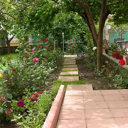 Casa La Musteata Guest house Costinesti