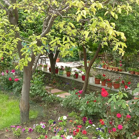 Casa La Musteata