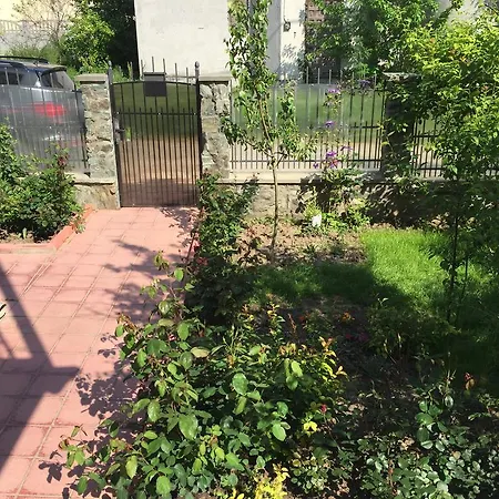 Gæstehus Casa La Musteata