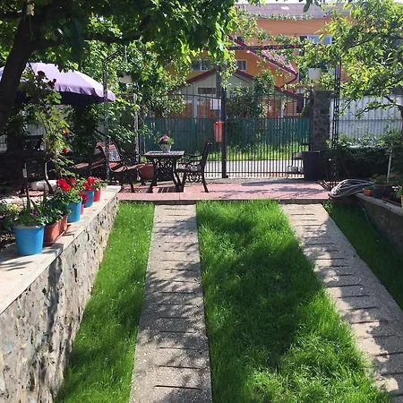 Guest house Casa La Musteata Costinesti