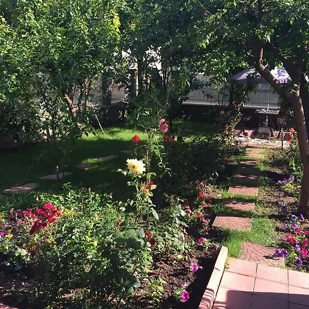 Guest house Casa La Musteata