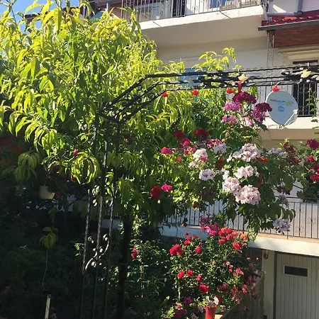 Casa La Musteata Costinesti
