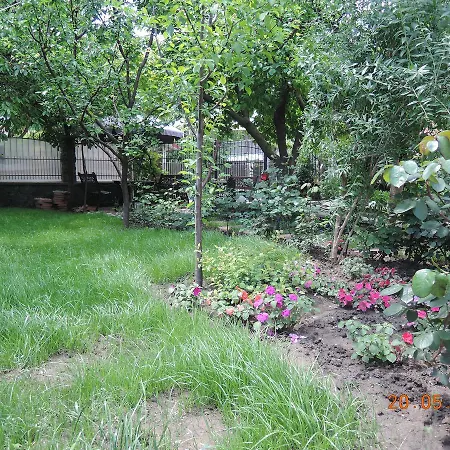 Guest house Casa La Musteata *