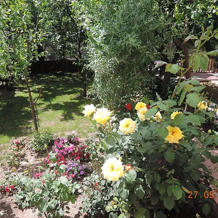 Guest house Casa La Musteata