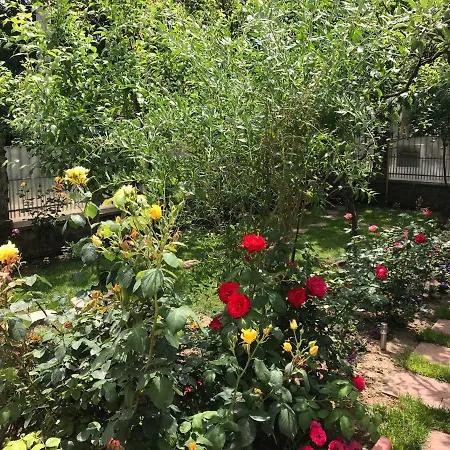 Casa La Musteata Guest house