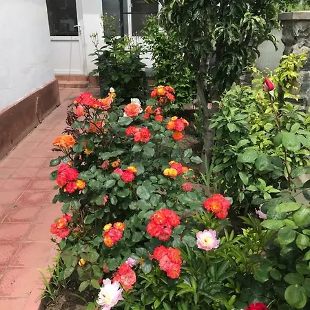 Guest house Casa La Musteata *